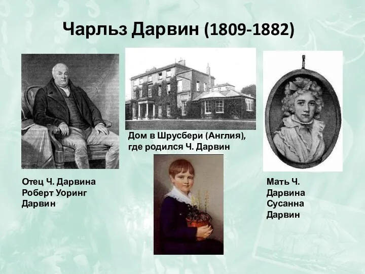 Чарльз Дарвин (1809-1882) Отец Ч. Дарвина Роберт Уоринг Дарвин Мать