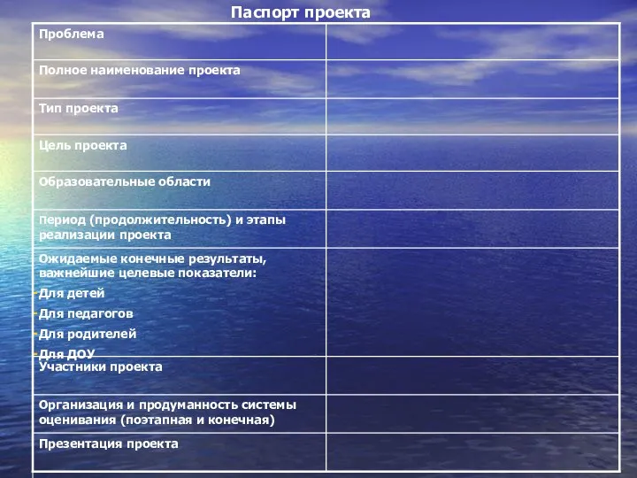 Паспорт проекта