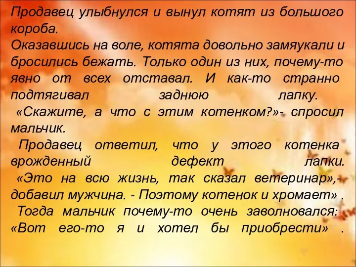 Продавец улыбнулся и вынул котят из большого короба. Оказавшись на воле, котята довольно