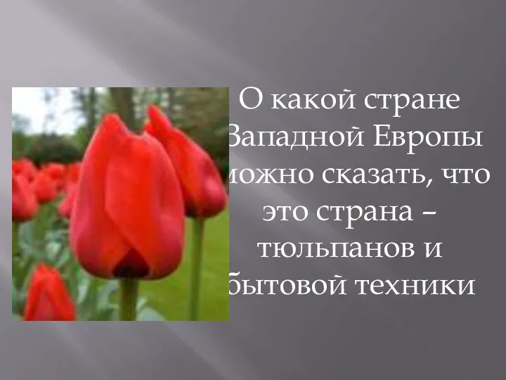 О какой стране Западной Европы можно сказать, что это страна – тюльпанов и бытовой техники