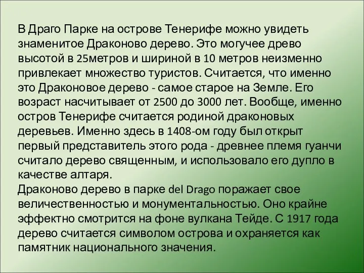 В Драго Парке на острове Тенерифе можно увидеть знаменитое Драконово дерево. Это могучее