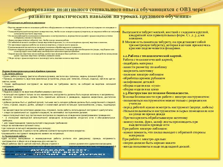 «Формирование позитивного социального опыта обучающихся с ОВЗ через развитие практических