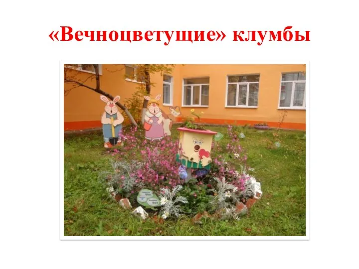 «Вечноцветущие» клумбы