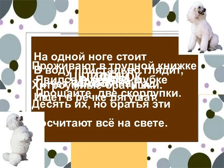 На одной ноге стоит В воду пристально глядит, Тычет клювом