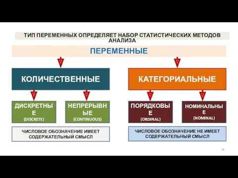 ПЕРЕМЕННЫЕ КОЛИЧЕСТВЕННЫЕ КАТЕГОРИАЛЬНЫЕ ДИСКРЕТНЫЕ (DISCRETE) НЕПРЕРЫВНЫЕ (CONTINUOUS) ПОРЯДКОВЫЕ (ORDINAL) НОМИНАЛЬНЫЕ