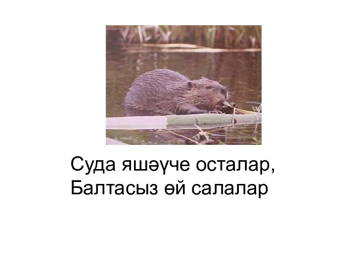 Суда яшәүче осталар, Балтасыз өй салалар