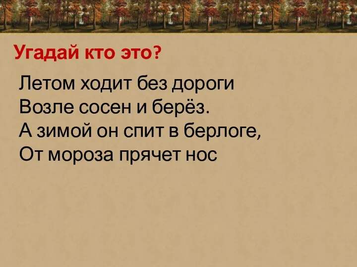 Угадай кто это? Летом ходит без дороги Возле сосен и