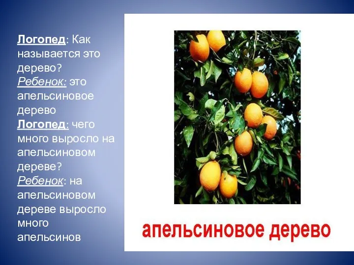 Логопед: Как называется это дерево? Ребенок: это апельсиновое дерево Логопед: чего много выросло