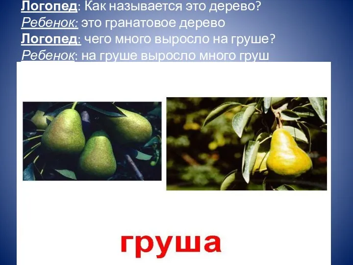 Логопед: Как называется это дерево? Ребенок: это гранатовое дерево Логопед: чего много выросло