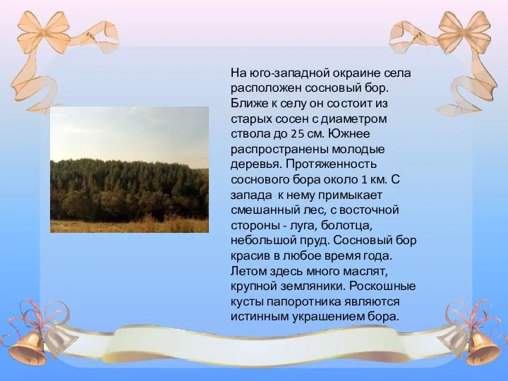 На юго-западной окраине села расположен сосновый бор. Ближе к селу он состоит из