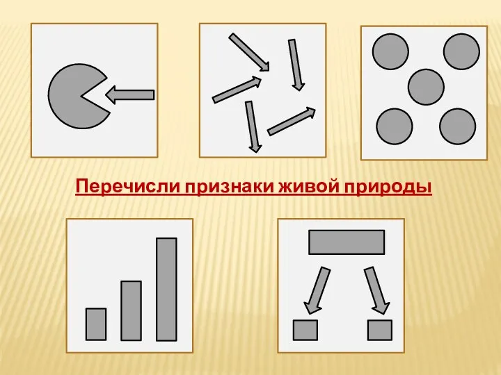 Перечисли признаки живой природы