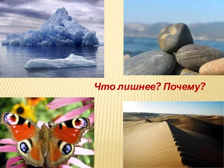 Что лишнее? Почему?