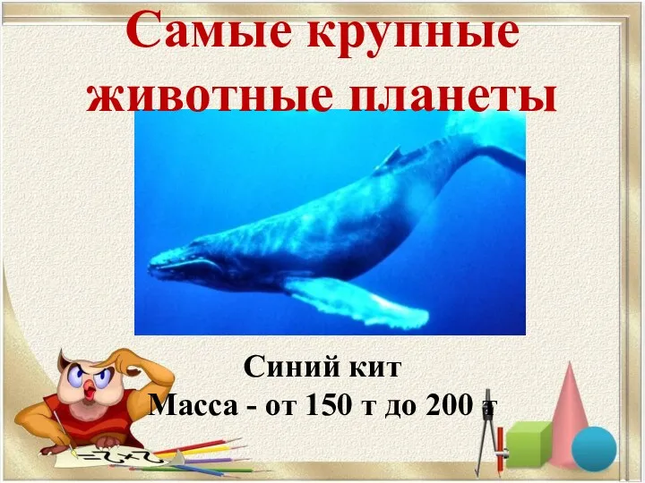 Самые крупные животные планеты Синий кит Масса - от 150 т до 200 т