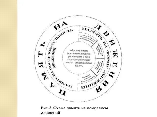 Рис. 6. Схема памяти на комплексы движений