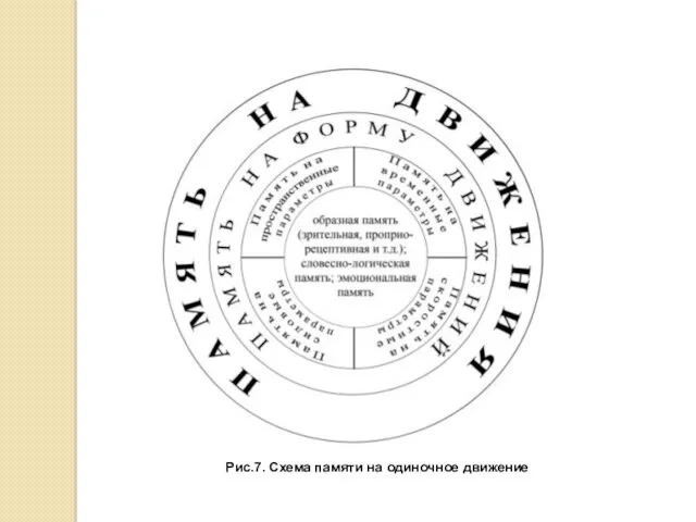 Рис.7. Схема памяти на одиночное движение