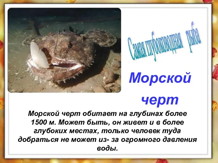 Морской черт обитает на глубинах более 1500 м. Может быть,