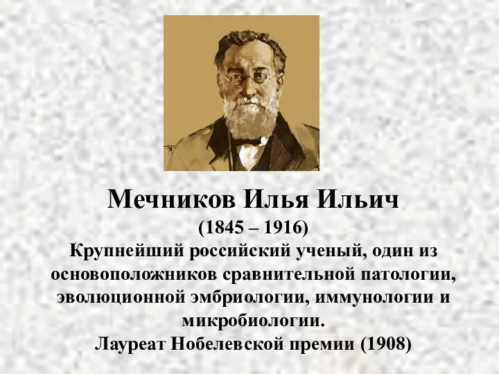 Мечников Илья Ильич (1845 – 1916) Крупнейший российский ученый, один