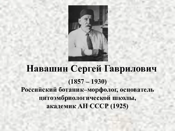 Навашин Сергей Гаврилович (1857 – 1930) Российский ботаник–морфолог, основатель цитоэмбриологической школы, академик АН СССР (1925)