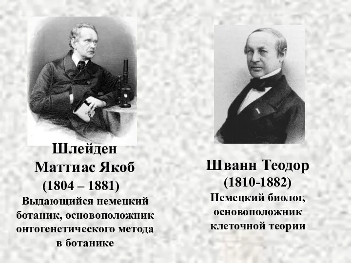 Шлейден Маттиас Якоб Шванн Теодор (1810-1882) Немецкий биолог, основоположник клеточной теории (1804 –