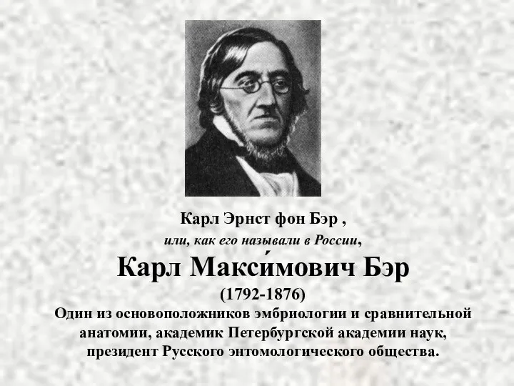 Карл Эрнст фон Бэр , или, как его называли в России, Карл Макси́мович