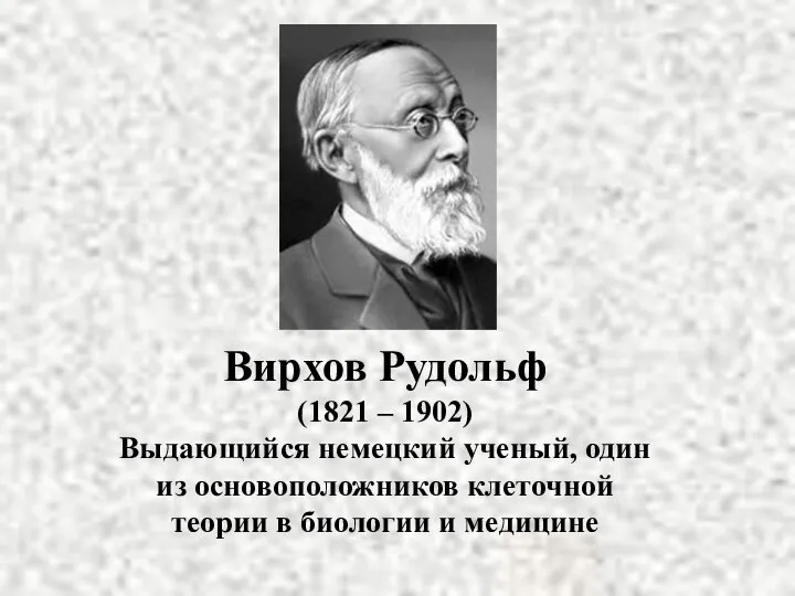 Вирхов Рудольф (1821 – 1902) Выдающийся немецкий ученый, один из основоположников клеточной теории