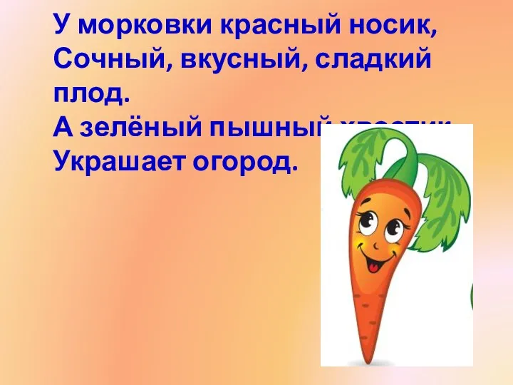 У морковки красный носик, Сочный, вкусный, сладкий плод. А зелёный пышный хвостик Украшает огород.