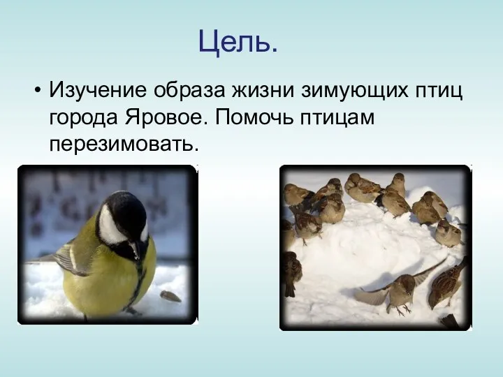 Цель. Изучение образа жизни зимующих птиц города Яровое. Помочь птицам перезимовать.
