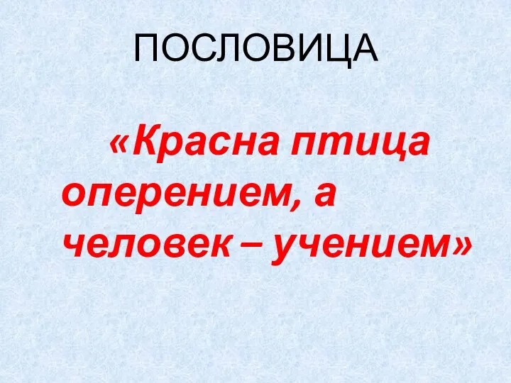 ПОСЛОВИЦА «Красна птица оперением, а человек – учением»