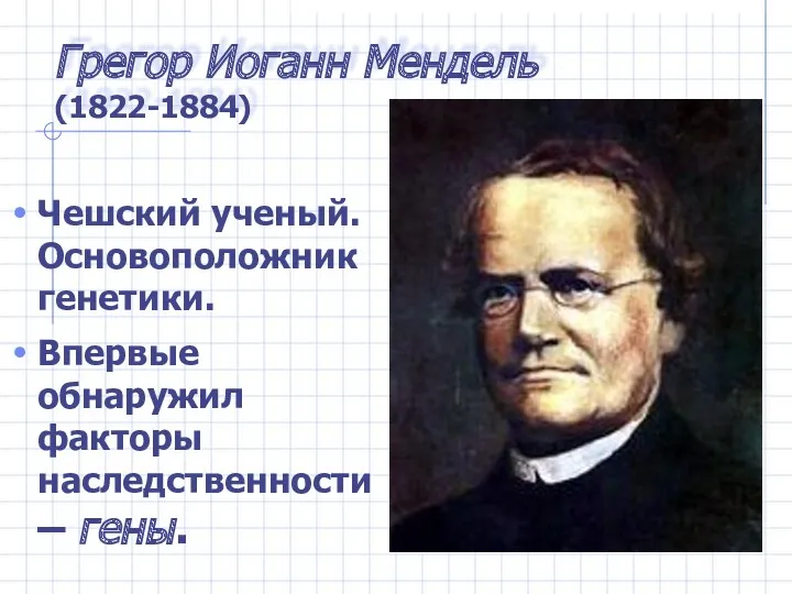 Грегор Иоганн Мендель (1822-1884) Чешский ученый. Основоположник генетики. Впервые обнаружил факторы наследственности – гены.