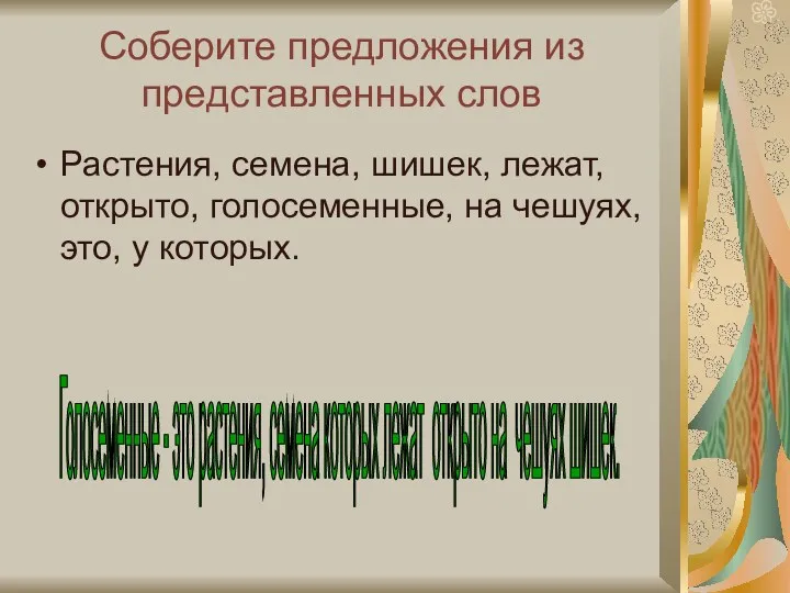 Соберите предложения из представленных слов Растения, семена, шишек, лежат, открыто,