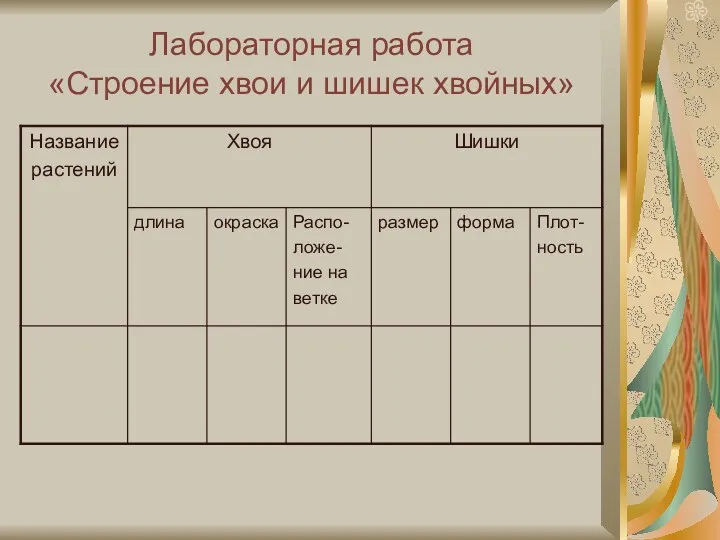 Лабораторная работа «Строение хвои и шишек хвойных»