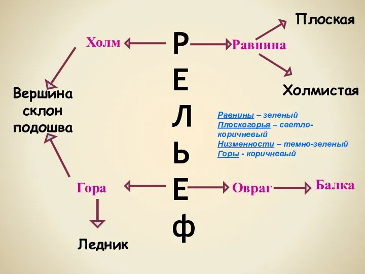 Р Е Л Ь Е ф Равнина Плоская Холмистая Овраг