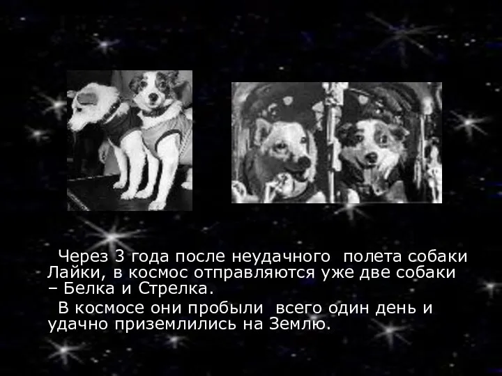 Через 3 года после неудачного полета собаки Лайки, в космос