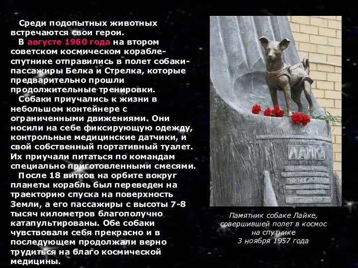 Памятник собаке Лайке, совершившей полет в космос на спутнике 3 ноября 1957 года