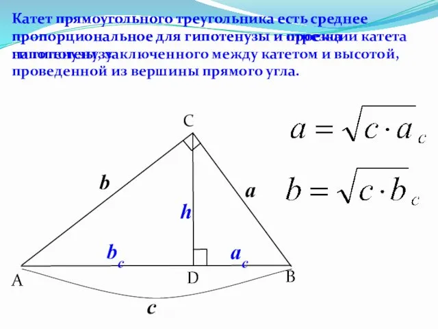 B C A D Катет прямоугольного треугольника есть среднее пропорциональное