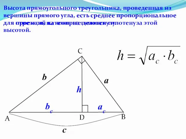 B C A D Высота прямоугольного треугольника, проведенная из вершины