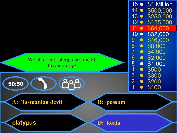 A: Tasmanian devil platypus B: possum D: koala 50:50 15