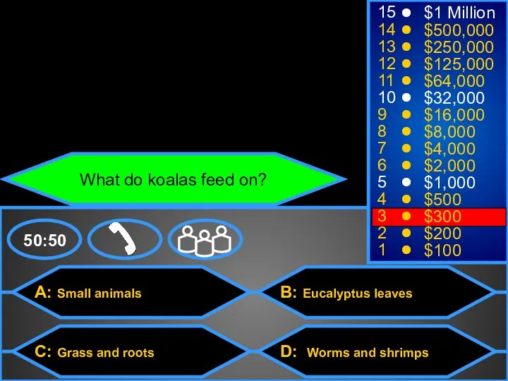 A: Small animals C: Grass and roots B: Eucalyptus leaves