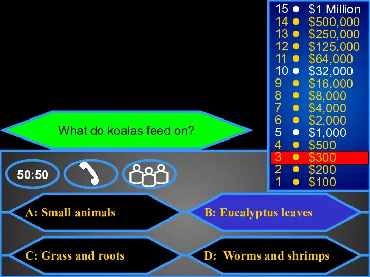 A: Small animals C: Grass and roots B: Eucalyptus leaves