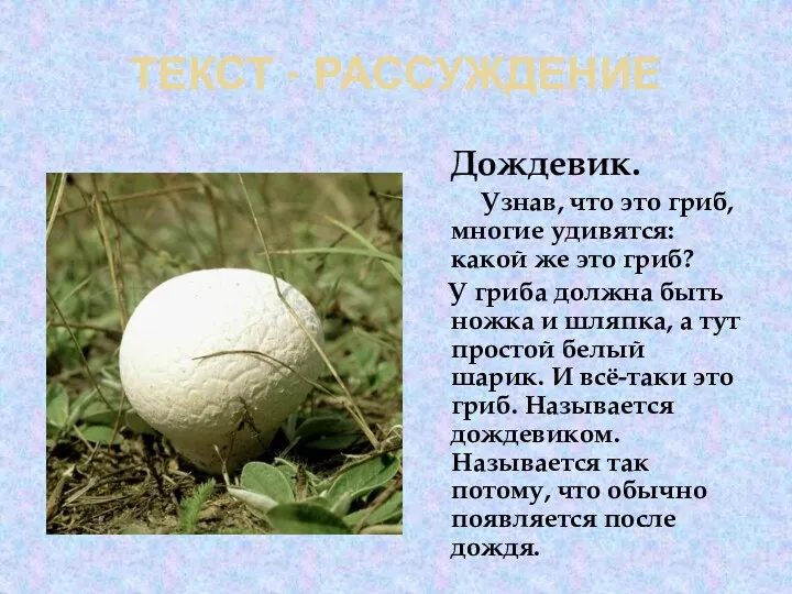 ТЕКСТ - РАССУЖДЕНИЕ Дождевик. Узнав, что это гриб, многие удивятся: какой же это