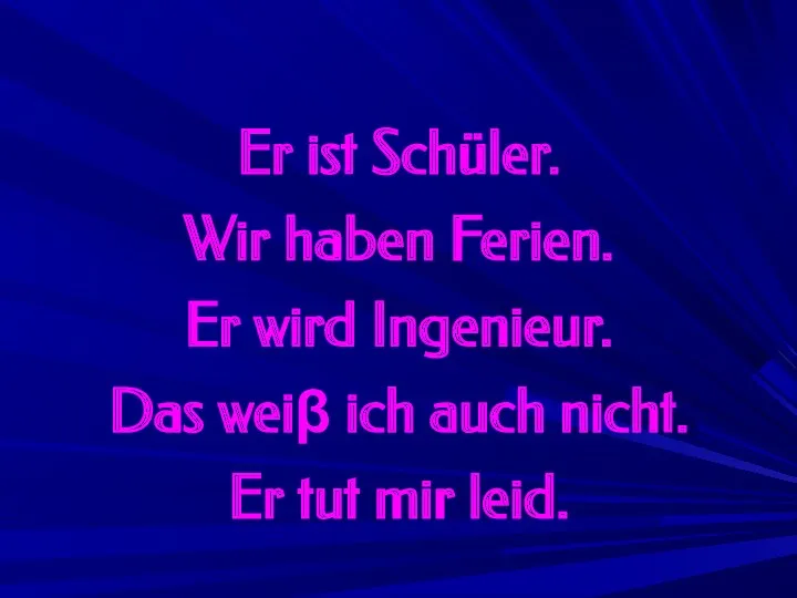 Er ist Schüler. Wir haben Ferien. Er wird Ingenieur. Das