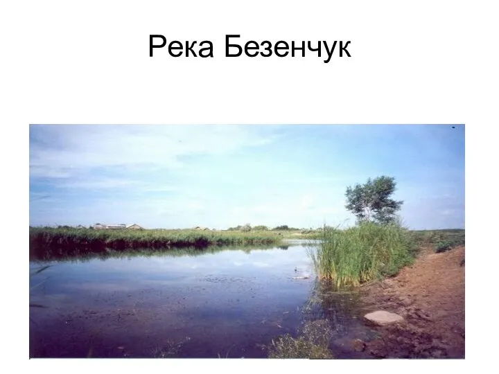 Река Безенчук