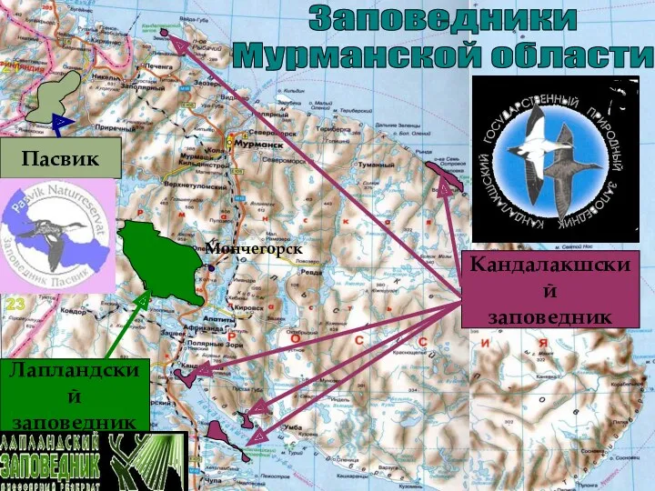 Заповедники Мурманской области Кандалакшский заповедник Лапландский заповедник Пасвик Мончегорск