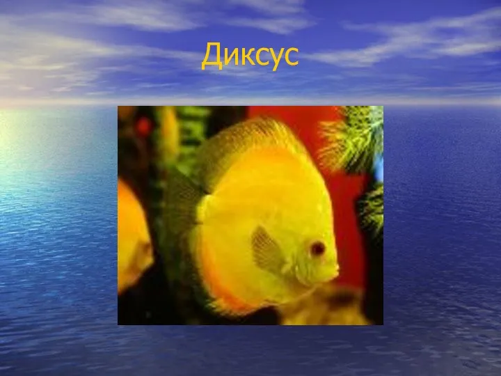 Диксус