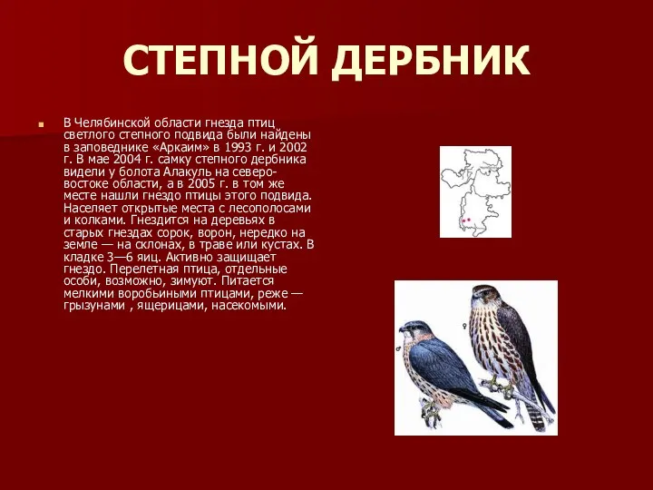 СТЕПНОЙ ДЕРБНИК В Челябинской области гнезда птиц светлого степного подвида
