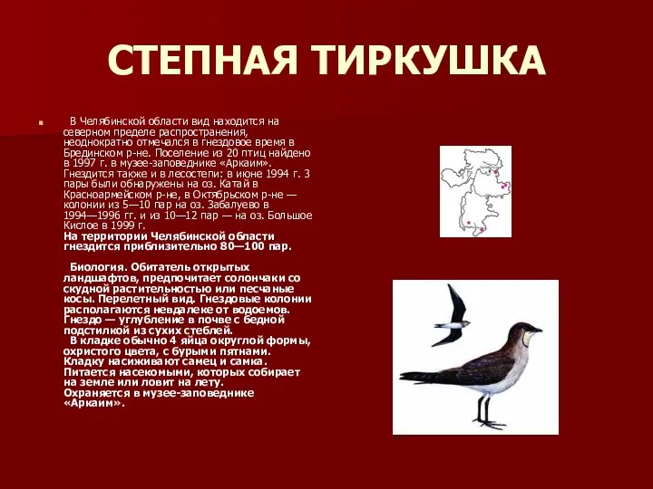 СТЕПНАЯ ТИРКУШКА В Челябинской области вид находится на северном пределе