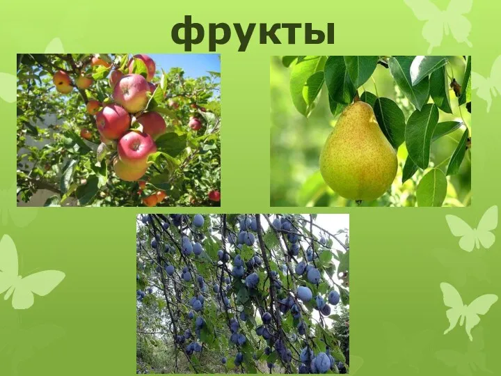 фрукты