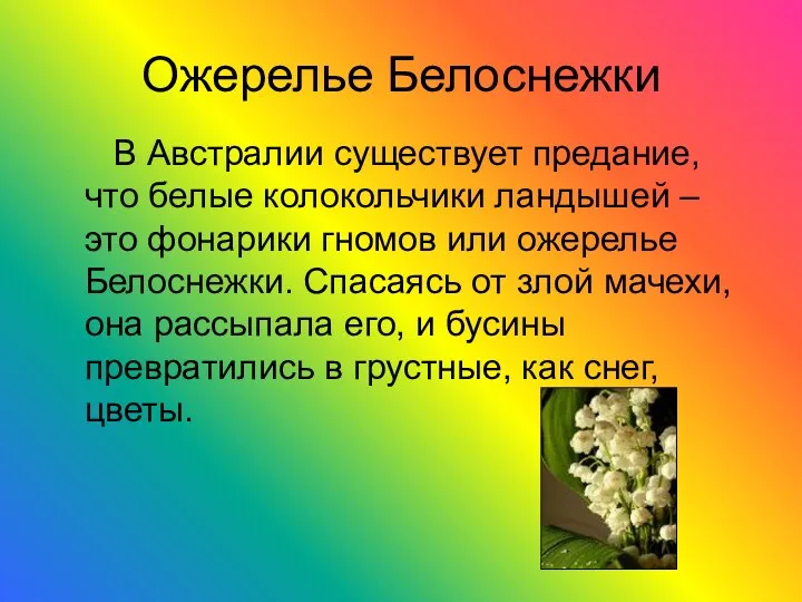 Ожерелье Белоснежки В Австралии существует предание, что белые колокольчики ландышей – это фонарики