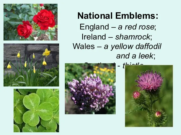 National Emblems: England – a red rose; Ireland – shamrock;