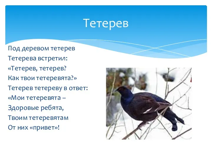 Под деревом тетерев Тетерева встретил: «Тетерев, тетерев? Как твои тетеревята?»